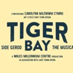 Tiger Bay play